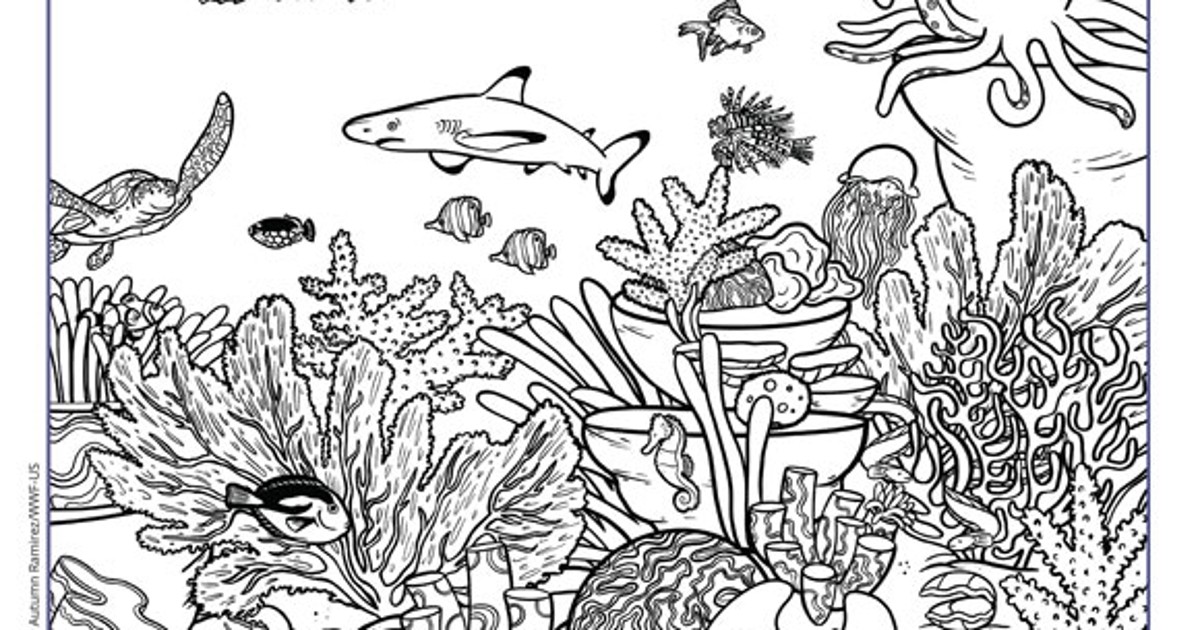 Printables Ocean Coral Reef Worksheet And Coloring Page HP Official Site printables-ocean-coral-reef-worksheet-and-coloring-page-hp-official-site