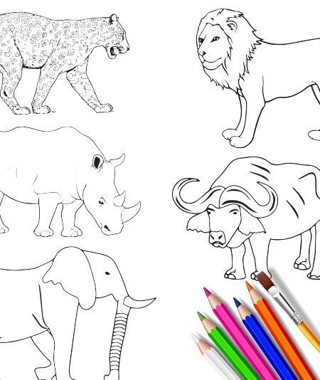 Printables - BIG 5 COLOURING EXCERCISE | HP® Official Site