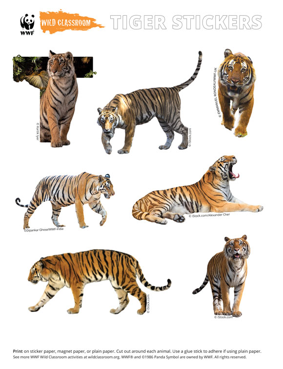 Fuzzy Tigers & Skunks Stickers by Funny Sticker World