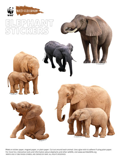 WWF - Free Coloring Pages & Printables | HP® Official Site