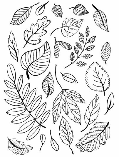 Festive Feast of Coloring Leaves - Printable fall leaves coloring pages