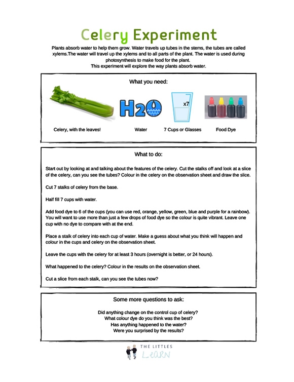 printables-celery-experiment-hp-official-site