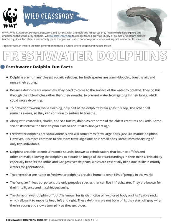 Printables - Freshwater Dolphins Fun Facts | HP® Official Site