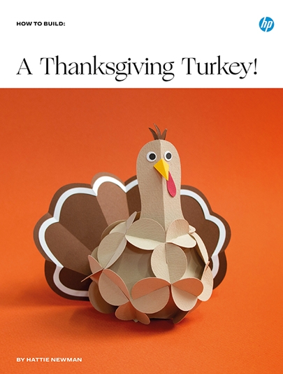 A Thanksgiving Turkey!  - The image show a 3D turkey