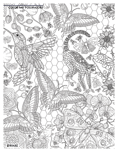 Colored page Mandala 4 painted by Winny de pou(Britany)