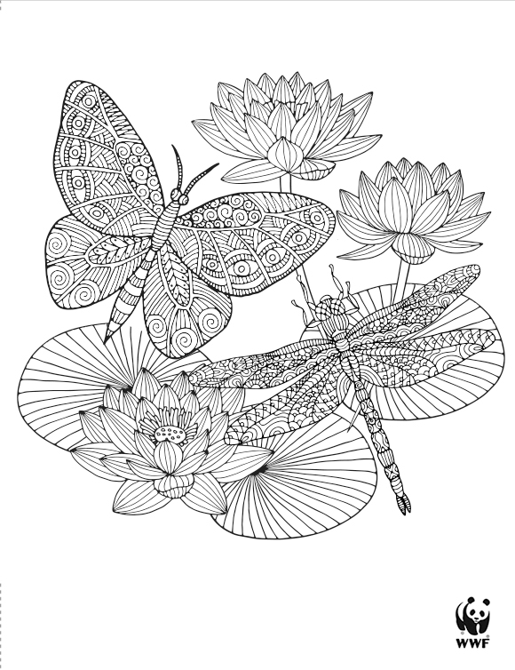 Printables - Butterfly | HP® Official Site
