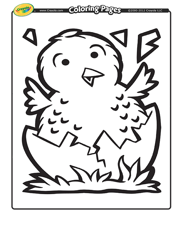 Printables - Baby Chicken | HP® Official Site