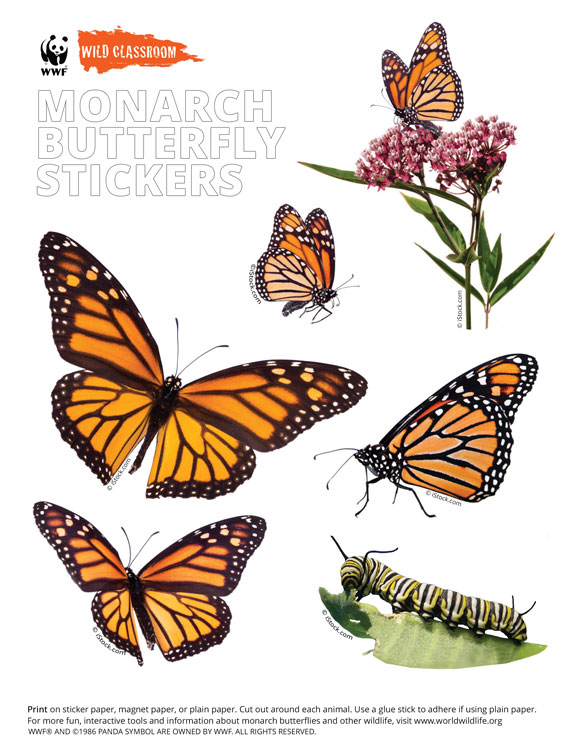 Printables - Animal Stickers - Monarch Butterflies