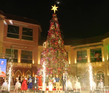 MLM Christmas Launch.jpg