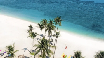 Dive Deep Into Father’s Day With Newcoast Beachwalk Seafood Delights