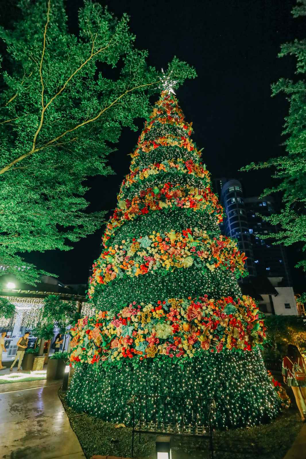 EWC_Christmas_2022_Tree.jpg