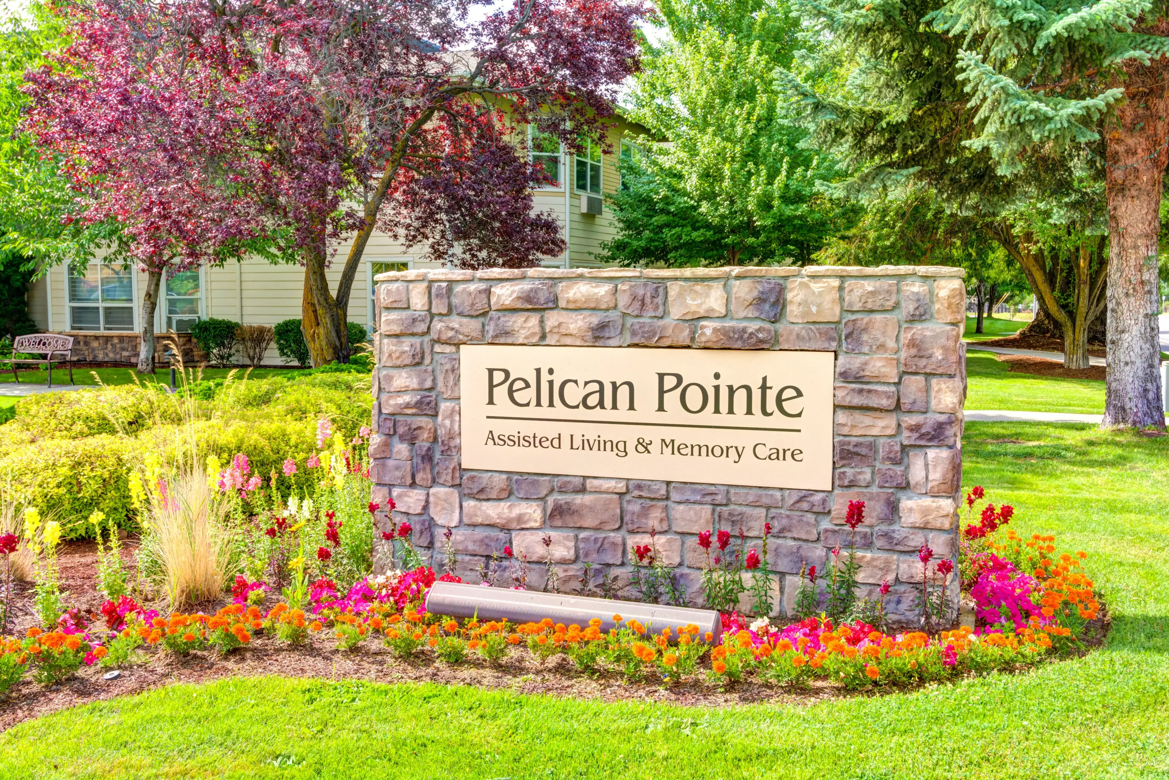 Pelican Pointe 2