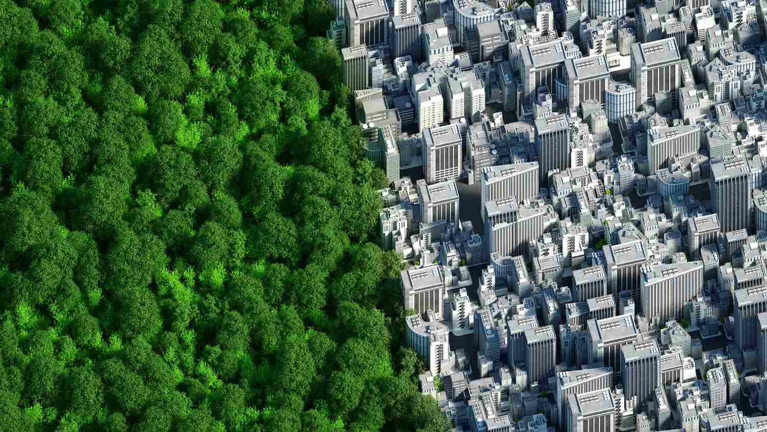 green forest and buildings image side to side