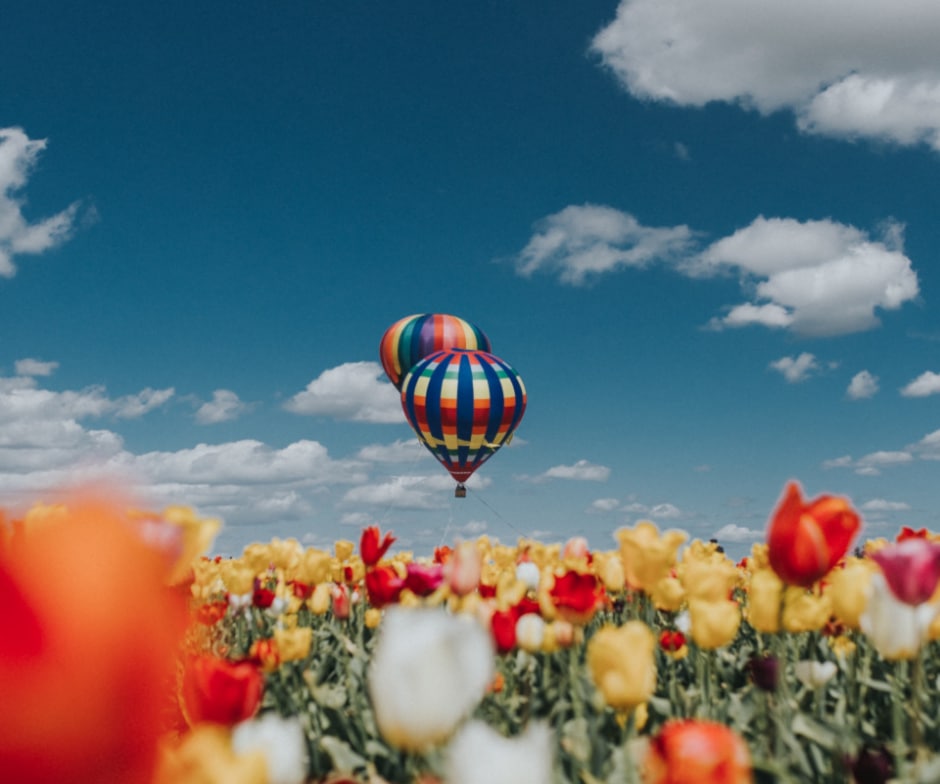 Image of flowers and hot air balloons