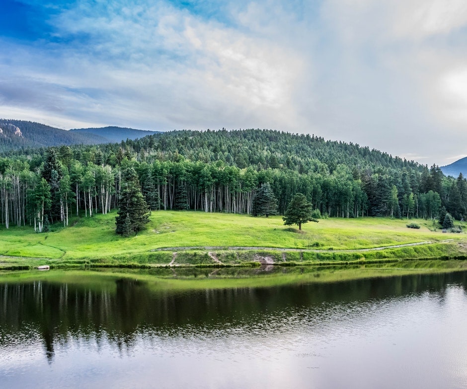 a lake near a forest