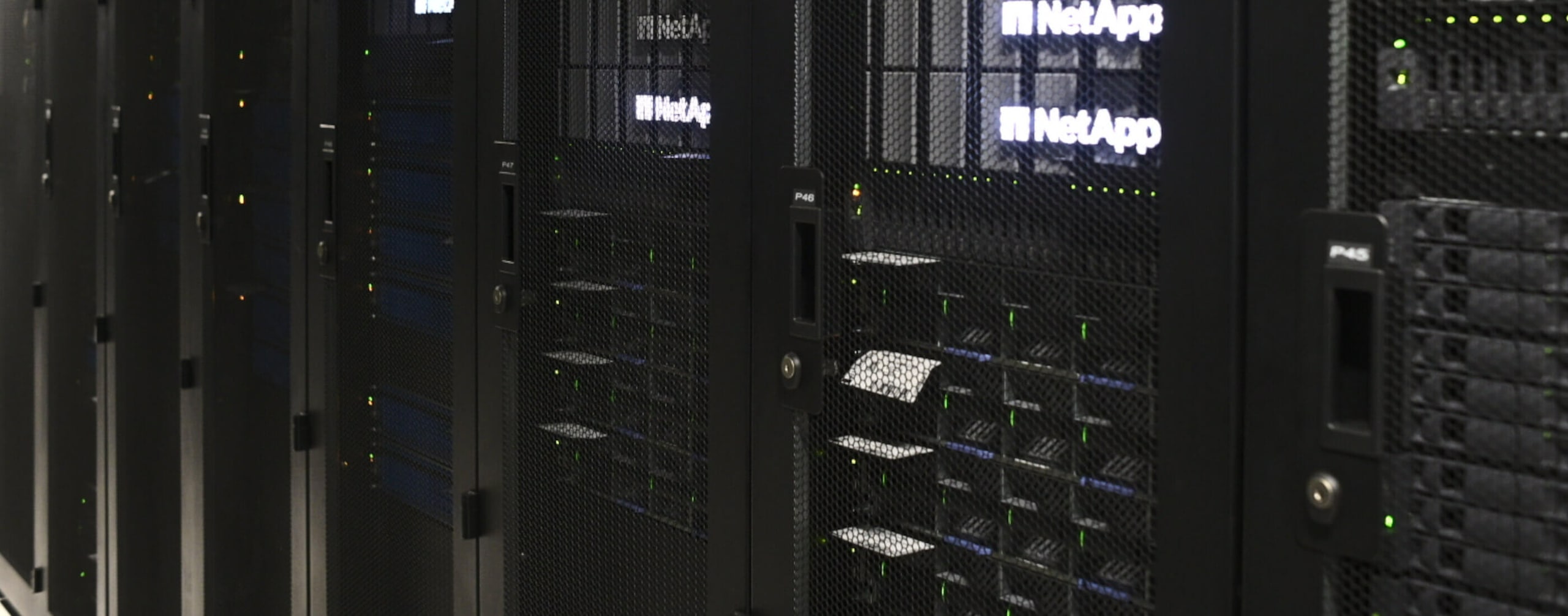 Dispositivo de almacenamiento de NetApp