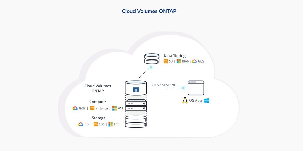 Real-World Experiences with NetApp Cloud Data Serv - Inline Image 1