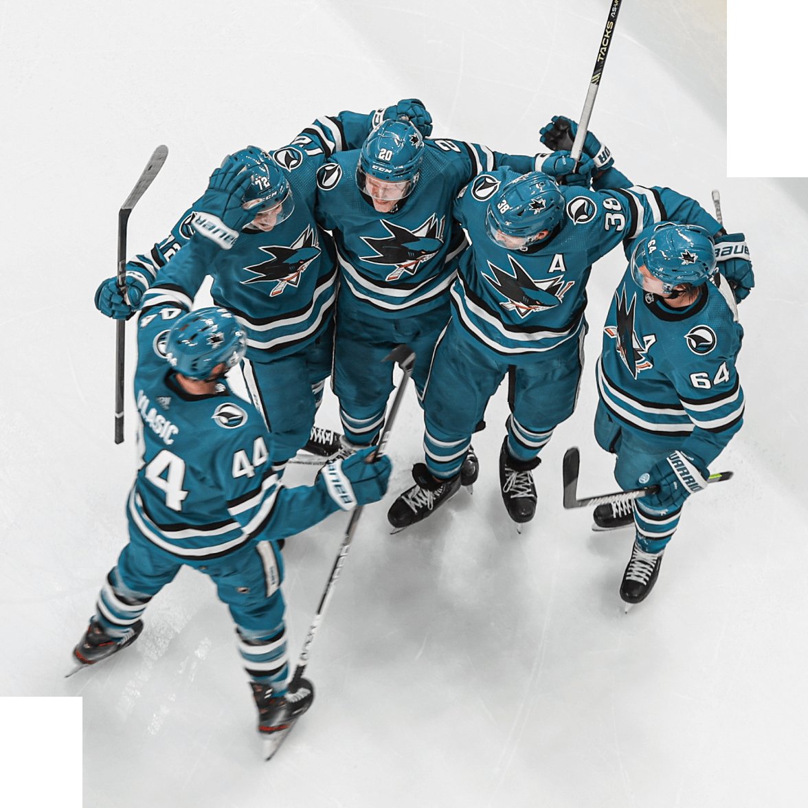 San Jose Sharks together