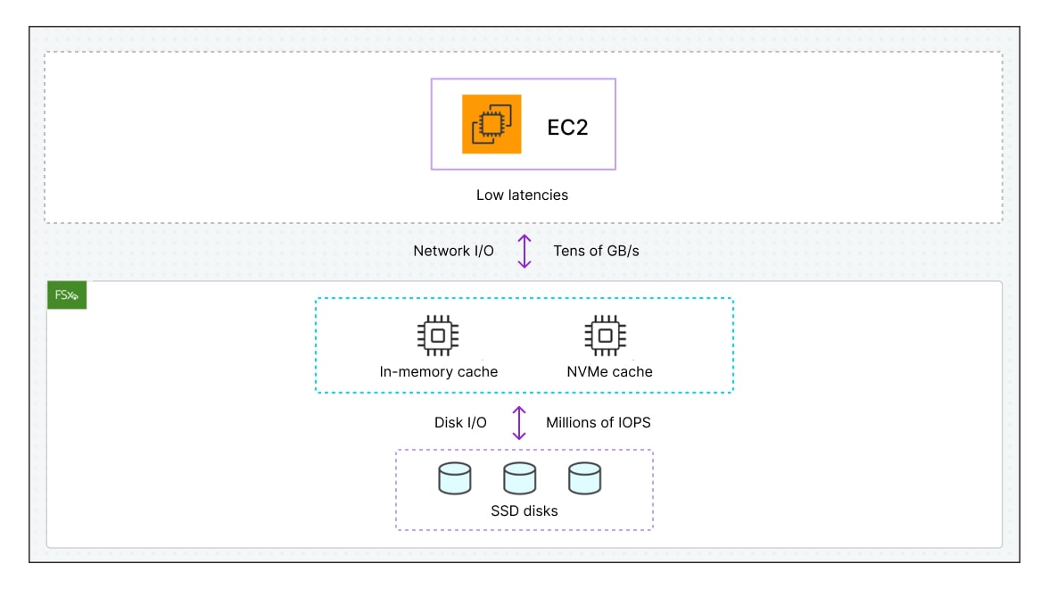 Diagram showcasing an AWS EC2 instance with low latency, high network I/O, NVMe caching, and SSD storage for optimized performance.
