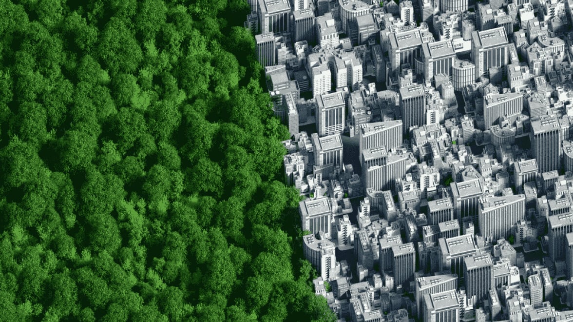 un bosque y un edificio moderno uno al lado del otro