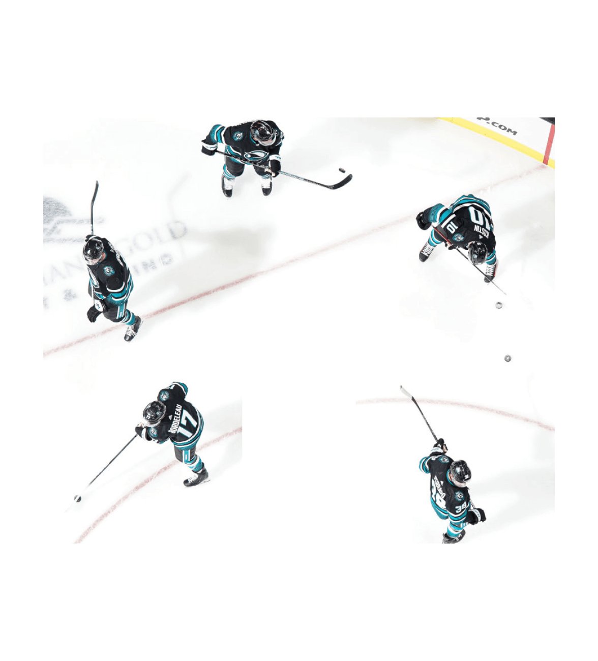 San Jose Sharks