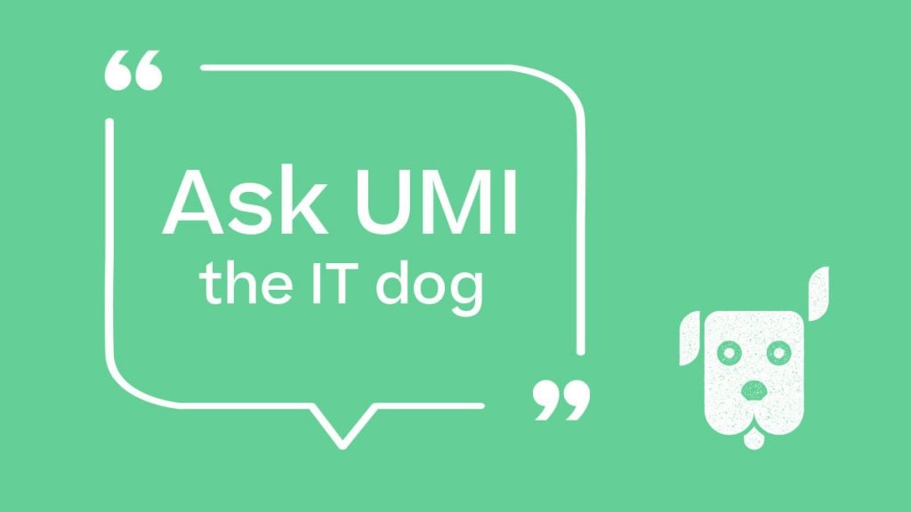 Umi-IT-dog-1024x576