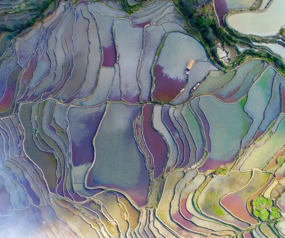 aerial shot of colorful landscape