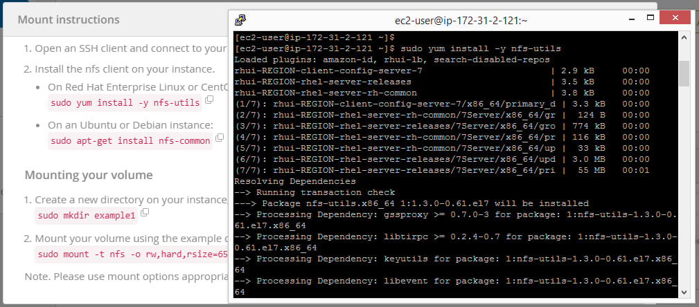 In this example, we mounted this volume from a Red Hat 7.6 instance. To do that, you first need to install the NFS client on your Red Hat Linux instance.