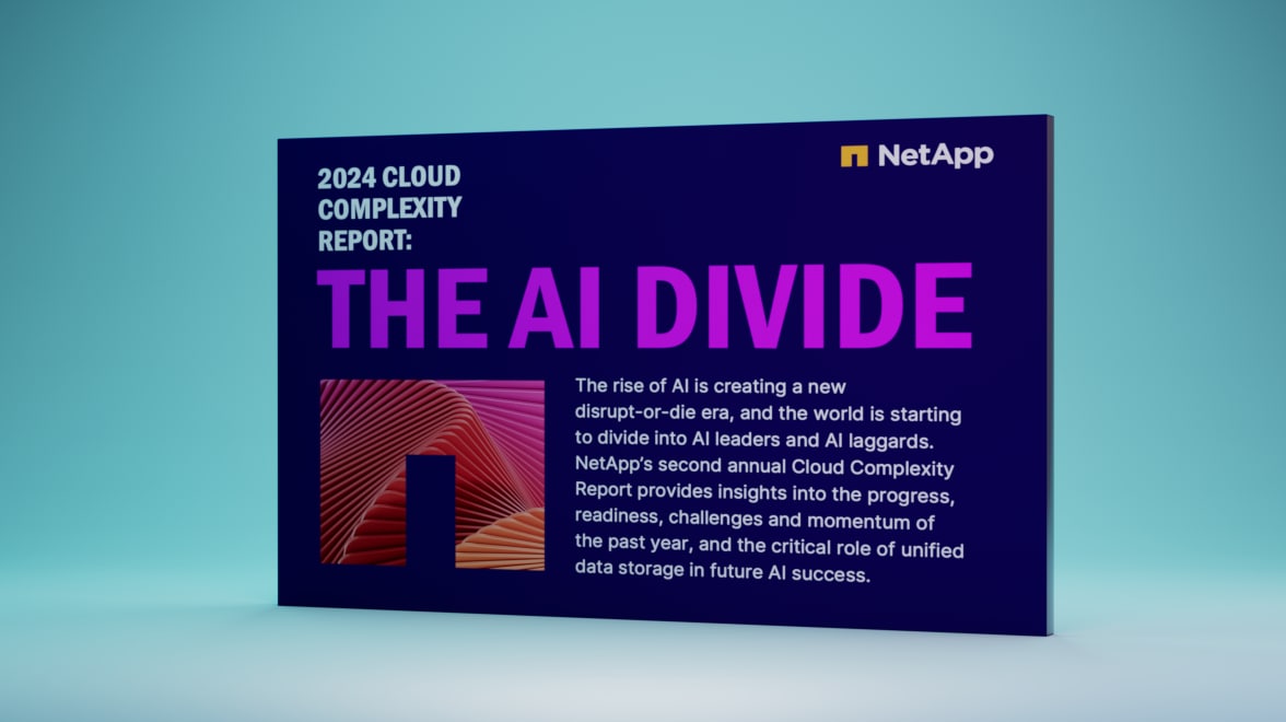 2024 cloud complexity 2024 AI Divide