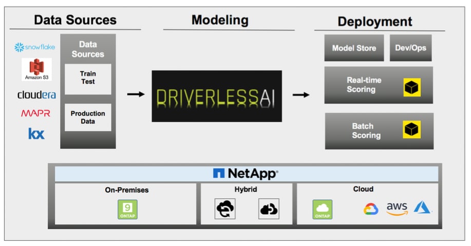 Democratize AI with H2O Driverless AI and NetApp C - Inline Image 1