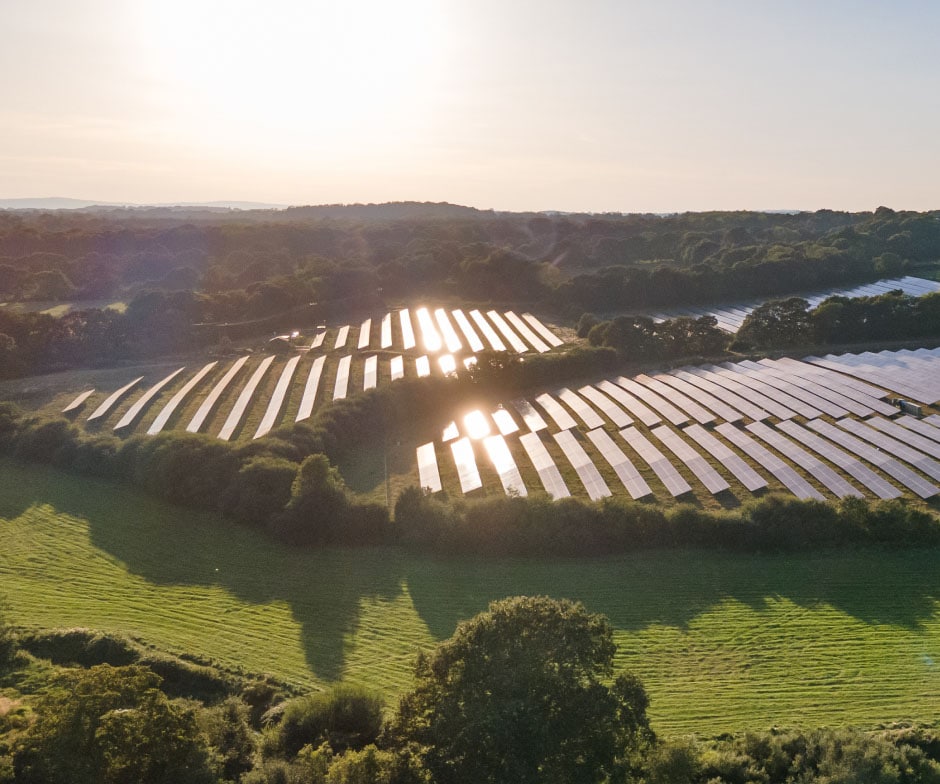 granja de paneles solares enclavada entre una vegetación soleada