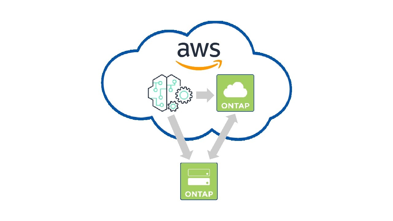 figure 2 ONTAP NAS