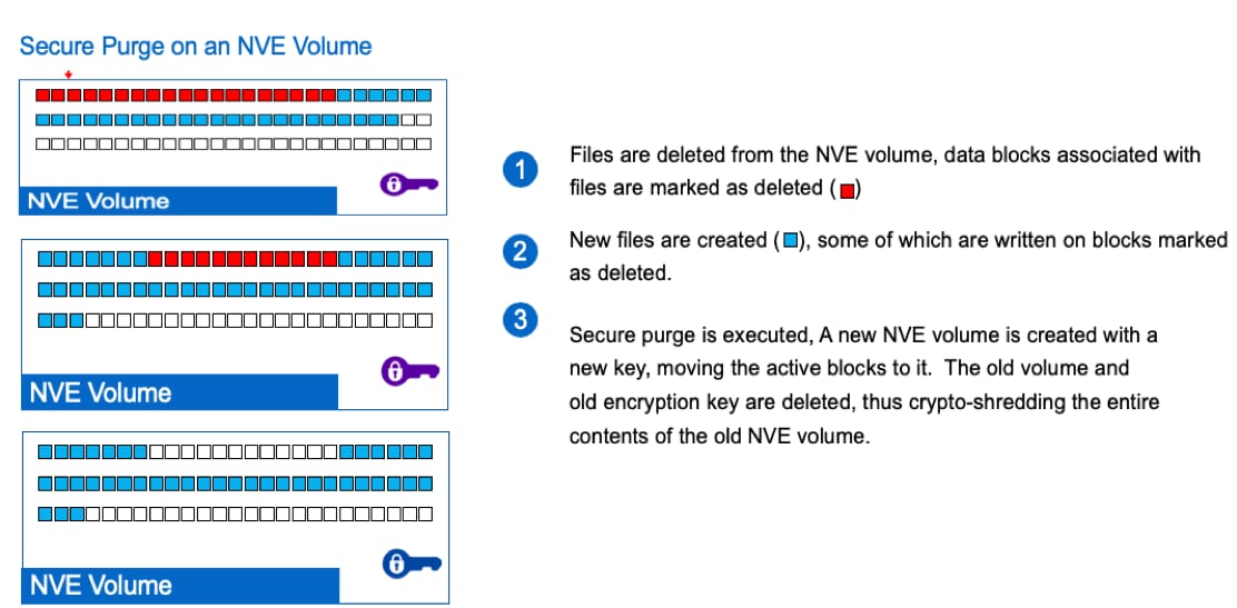 Innovating with Security: NetApp and Ontrack win F - Inline Image 2