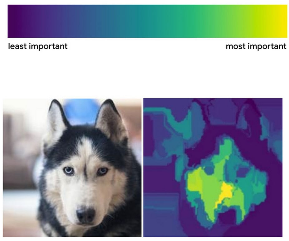 husky comparison