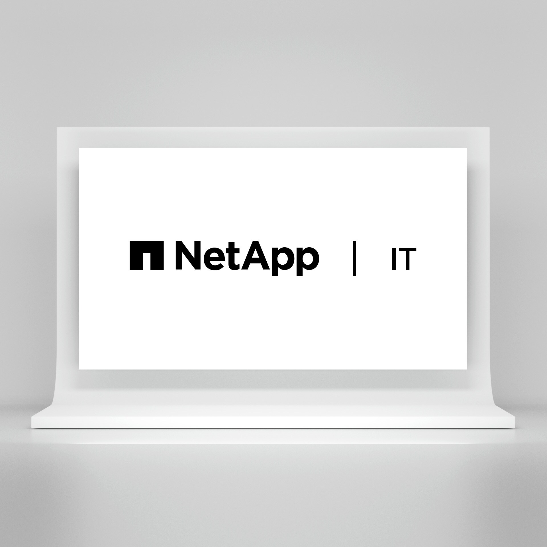 NetApp | ITロゴ