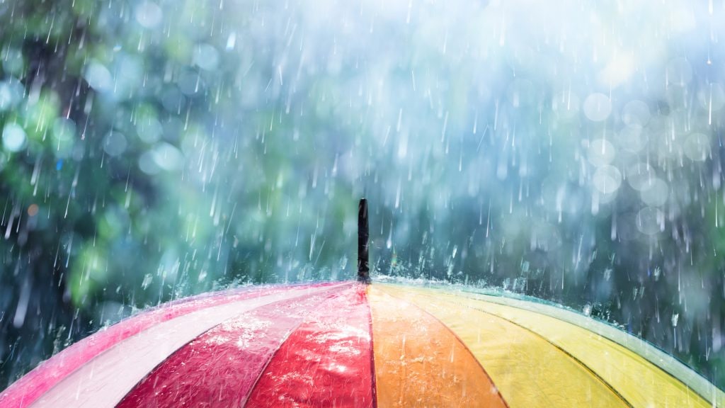 Weathering the Storm: Partnering With NetApp is a  - Inline Image 1