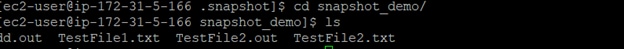 View the list of available files when the Snapshot copy was created