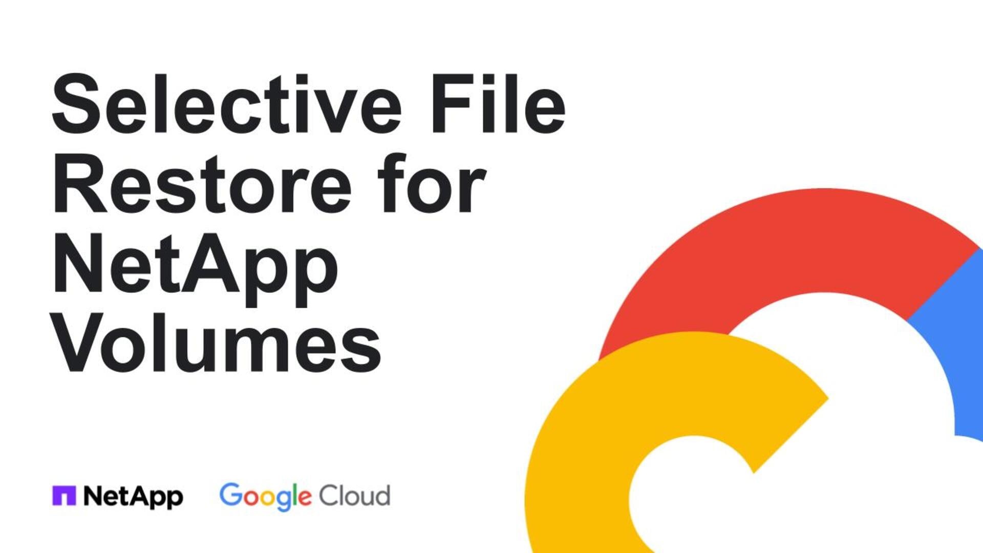 Volumes Netapp Selective file restore for Google Cloud NetApp Volumes | NetApp Video