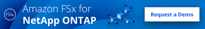 Image : Amazon FSx for NetApp ONTAP