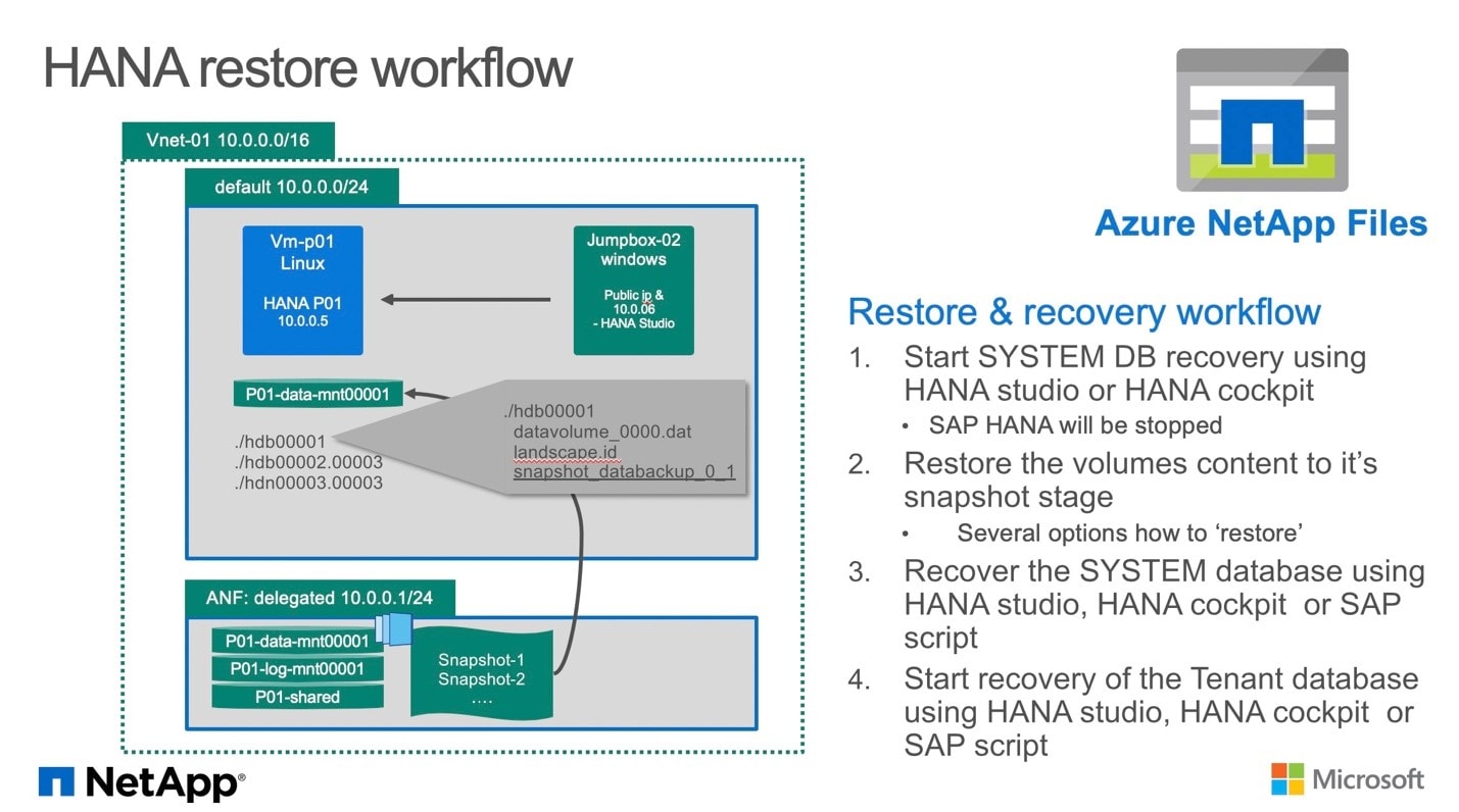 Azure NetApp Files - Inline Image 1