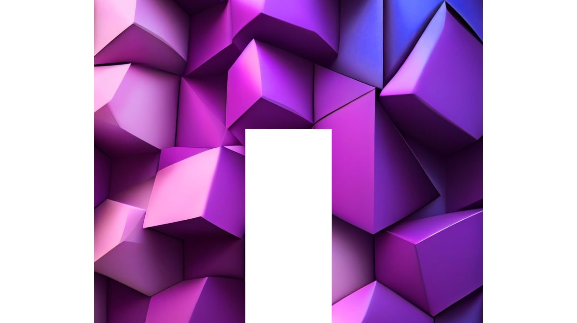 NetApp Logo