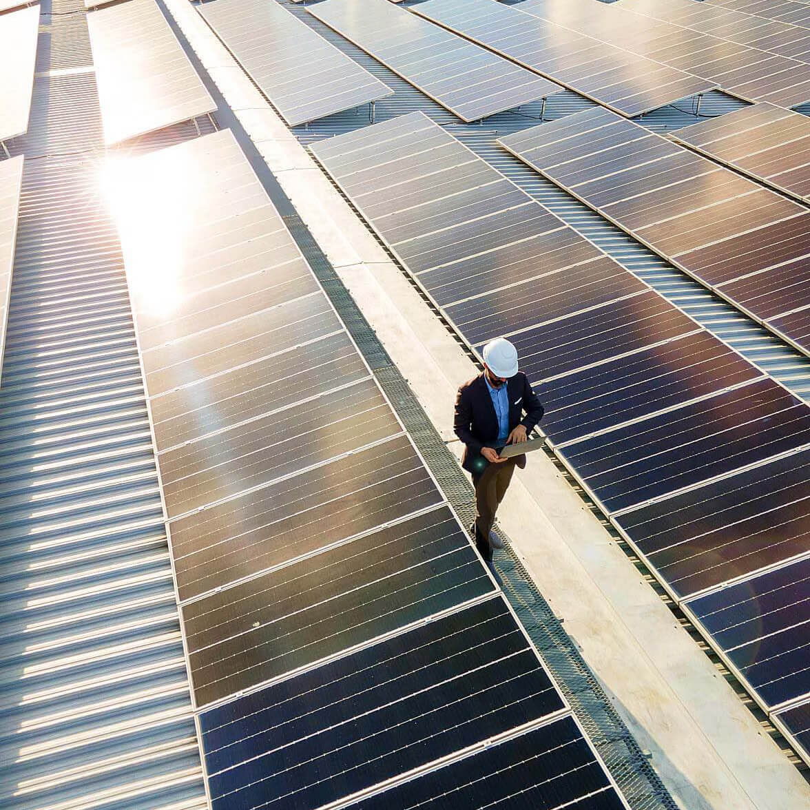 person walking along solar panels