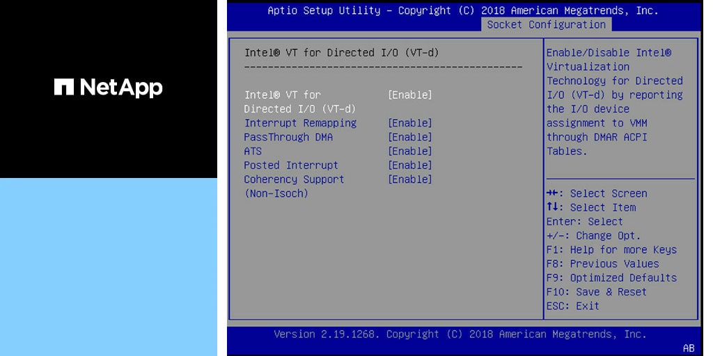 Netapp Interface ONTAP Select Software RAID with NVMe | NetApp