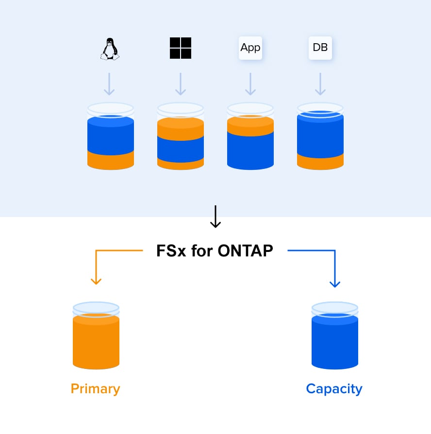 FSx for ONTAP