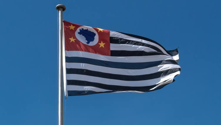 waving flag