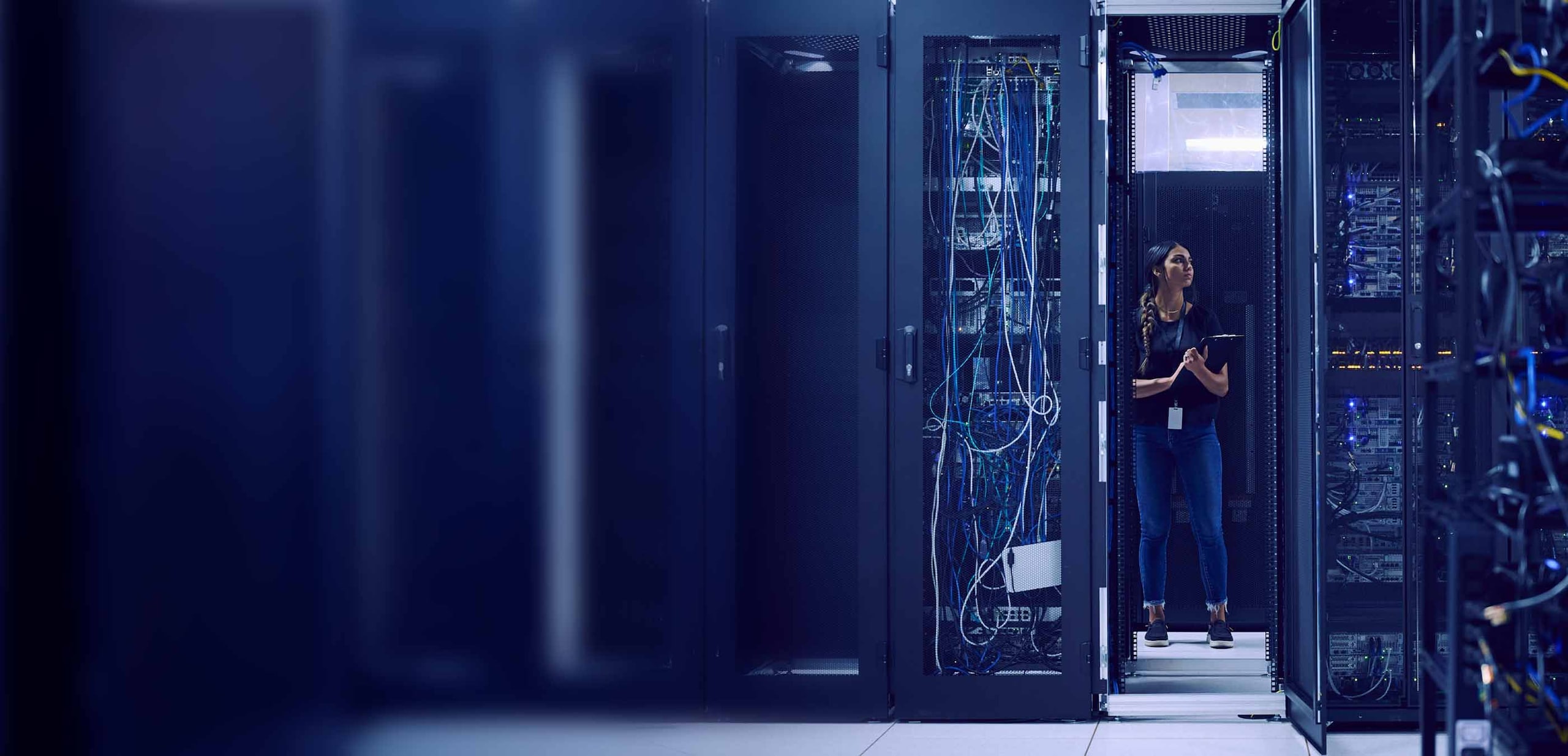 NetApp Data Services : hero [1-4uez] - Image [h-sjl1]