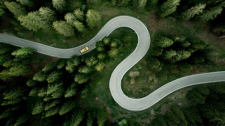 Road inbetween the greenery