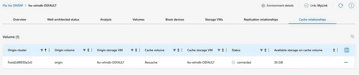 FlexCache1