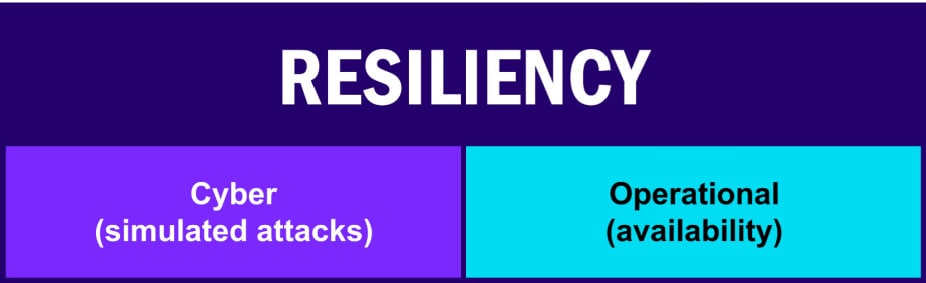 Resiliency Image