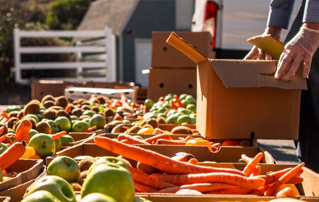 boxes of fruits and vegtables